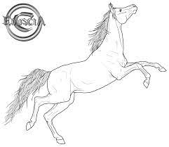 Free collection of 30+ printable arabian horse coloring pages wild arabian horse coloring pages | coloring: Arabian Horse Coloring Pages Wavesmeetsand