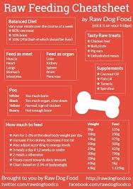 Raw Feeding Cheatsheet Raw Feeding For Dogs Dog Nutrition