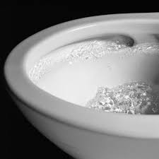 80 minuti (versione censurata), 93 minuti (versione restaurata del 1999). Toto Carolina Ii 1 Piece 1 28 Gpf Single Flush Elongated Skirted Toilet With Cefiontect In Cotton White Seat Included Ms644114cefg 01 The Home Depot