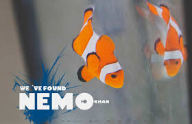 The sequel, finding dory , was released on june 17, 2016. Nemo Khan Reef Aquarium Fish Pet Nemo