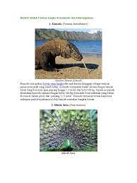 Flora dan fauna pengertian jenis gambar dan persebarannya dosenpendidikan com untuk pembahasan kali ini kami akan mengulas mengenai flora dan fauna yang dimana dalam hal ini gambar flora dan fauna endemik indonesia beserta ciri dan penjelasannya. 14 Gambar Fauna Dan Flora Beserta Penjelasannya Info Top