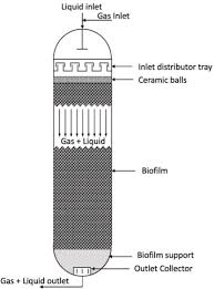 We did not find results for: A Critical Review On Biofilm Based Reactor Systems For Enhanced Syngas Fermentation Processes Sciencedirect