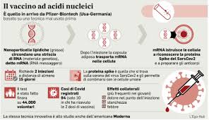 Il dna (sigla che sta per acido desossiribonucleico) viene definito il grande libro della vita. Il Vaccino Anti Covid Ci Cambia Il Dna Smontata La Bufala No Vax Ilgiornale It