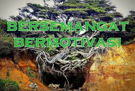 Saat kita keluar bersama, kita akan memiliki dunia yang lebih baik dan hati yang lebih bersih. Perkongsian Kata Kata Motivasi Dan Semangat Binmuhammad