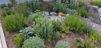 Einen vorgarten zu haben ist bestimmt ein vorteil, den wir hoch schätzen sollen und daraus nutzen ziehen. Kleiner Garten Ideen Und Beispiele Fur Den Schatten