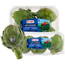 Image result for Ocean Mist 1983 Hussmann