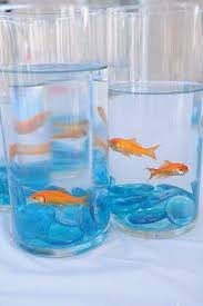 Cat In The Hat Birthday Idea Goldfish Party Nemo Birthday Party Cat Birthday Party