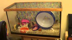 How To Make A Mesh Top For A Hamster Gerbil Tank Vivarium Or Terrarium Gerbil Terrarium For Sale Hamster