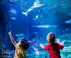 sea life legoland discovery centre ortak bilet biletleri