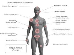 Vous allez découvrir comment utiliser la menthe poivrée, la camomille romaine, la gaulthérie couchée. La Depression Comprendre Le Trouble Inicea