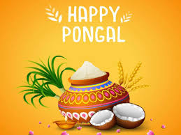 Send short and sweet pongal wishes to your loved ones. Happy Pongal 2021 Images Wishes Messages Quotes Cards Greetings Pictures Gifs And Wallpapers Times Of India