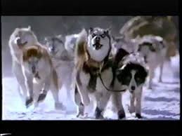 Nagy kedvencem ez a film !! Snow Dogs 2002 Trailer Vhs Capture Youtube