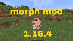 Morph into every mob in minecraft and gain their perspective and abilities! Minecraft Morph Mod 1 16 4 Review Youtube