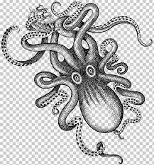 Kraken Rum Liquor Octopus Png Clipart Admin Alcoholic Drink Alcohol Proof Black And White Cephalopod Free Png Download Kraken Rum Kraken Rum Liquor