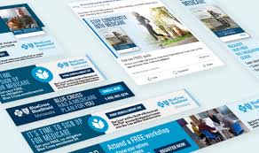 Individual family qualified health plans. Bcbs Mn Winning The Age In Battle Anderson