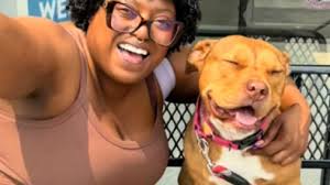 Ce toutou attendait depuis 240 jours d'être enfin adopté, la livraison d'un  repas va bouleverser sa vie