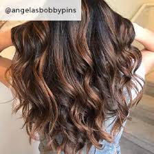 Her hair is first washed with dark chestnut dye. Chestnut Brown Hair Color Ideas Formulas Wella Professionals