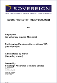 Insurance issued by aai limited abn 48 005 297 807 trading as gio. Income Protection Policy Document Pdf Free Download