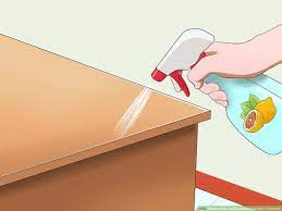 Keeping cats off counter tops? 3 Ways To Prevent Cats From Jumping On Counters Wikihow