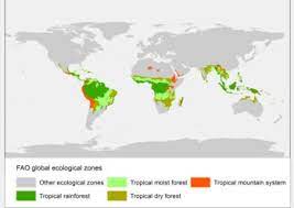 So is most of the amazon rainforest a tropical monsoon climate or another kind of climate? Tropical Forest Wikipedia
