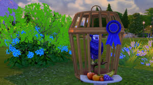 So, which states allow for raccoon domestication? Mod The Sims Sturdy Birdie Bird Cage