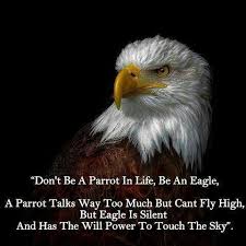 Silent Native American Quotes American Quotes Native American Wisdom