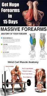 Forearm Workout Top 3 Exercises For Size Strength Forearm Armexercises Forearm Workout Grip Strength Exercises Workout Guide