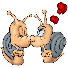 Snails Animals Homepage Snail Cartoon Cartoon Animals Cartoon Garden