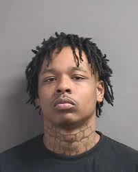 46-year-old LEON CHEATHAM from BUSHKILL was booked