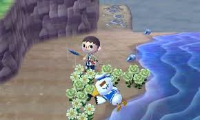 Animal Crossing Hunger Games I Had To Kill The First Visitor I Had In Order To Win The Hunger Games Animal Crossing Game Animal Crossing Animal Crossing 3ds