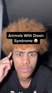 Unique Animals With Down Syndrome