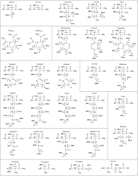 20 Amino Acid Structures Chart Www Bedowntowndaytona Com