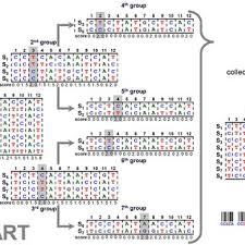 Image result for Satyrium kitimboense