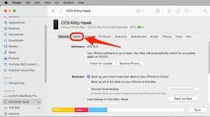 Windows and mac os x only: How To Download All Your Songs In Apple Music To Your Iphone Ios 15