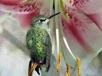 Pin By Rosie Camunas On Recipes To Cook Twin Mattress Set Twin Mattress Mattress Sets