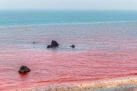 Oleh si gunduldiposting pada 28 juli 201928 juli 2019. Pantai Unik Berwarna Merah Darah