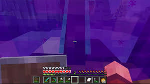 ️today i'm showing you guys how to easily get on top of the nether bedrock ceiling in survival. Minecraft 1 14 4 Horse Not Going Through Nether Portal Arqade