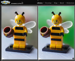 Using photoshop for blurred backgrounds. Colouring Your Background In Lightroom And Adobe Camera Raw Tipsquirrel