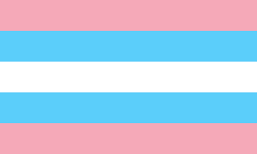 Download as svg vector, transparent png, eps or psd. Pride Transgender
