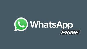 Whatsapp prime merupakan aplikasi whatsapp modifikasi dari whatsapp versi aslinya yang menyediakan berbagai fitur menarik yang tidak akan sobat temui di whatsapp versi resminya. Whatsapp Prime Apk Latest Version Download For Android Mod