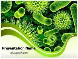 See more ideas about presentation templates, presentation slides templates, templates. Ida Zuraidahismail0 Profile Pinterest