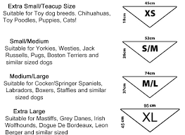 Sas Chart 2019