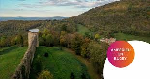 Coupé, au premier échiqueté d'or et d'azur de deux tires, au second de source : Amberieu Tournee Equilibre Vous Aesio