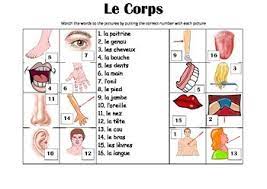 This leaderboard is currently private. French Picture Match Le Corps Parts Of The Body By Resources4mfl