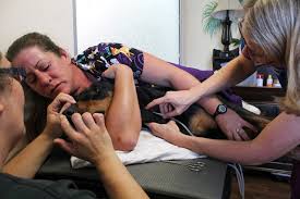 Read patient's behavior cues and use foot/leg, wall, corner as restraint assistants. Red Cross For Rover Inside America S Canine Blood Banks Npr