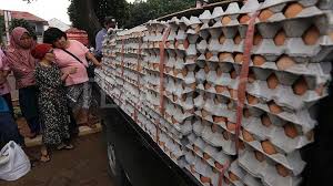 Juni 20, 2021juni 20, 2021 propen. Setelah Anjlok Harga Telur Dan Ayam Berangsur Naik Kembali Bisnis Tempo Co