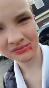 Hi. If your child is walking a small white dog in the old town