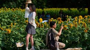 Oscar vica porn gay she is committed to delivering more