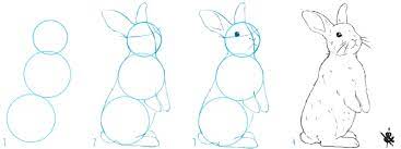 Trouvez l'image parfaite de lapin : Comment Dessiner Un Lapin Crayons Et Pinceaux