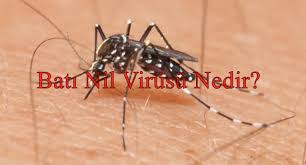 Bu, kanınızda west nile virüsü ile ilişkili genetik materyal veya antikor olup olmadığını belirleyebilir. Istanbul Da Oldurucu Hastalik Bati Nil Virusu Hizli Bilgim